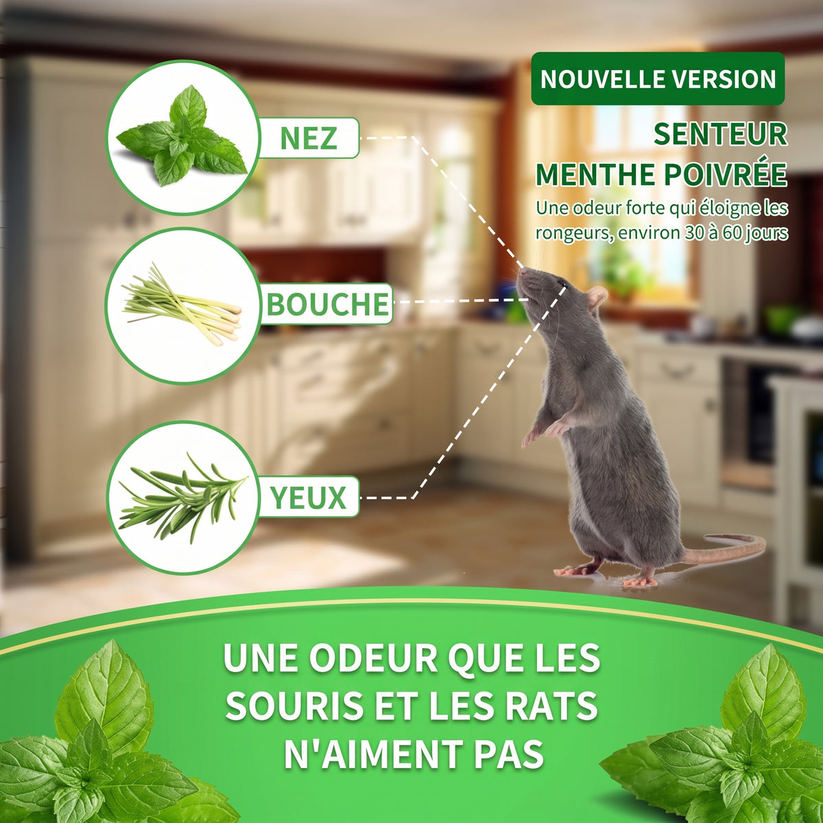 Répulsif souris à la menthe poivrée, boules parfumées
