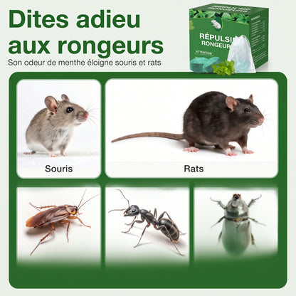 Répulsif souris à la menthe poivrée, boules parfumées