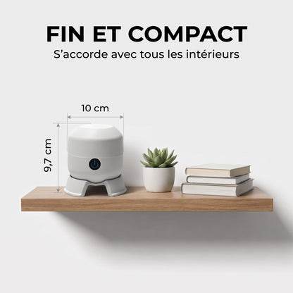 Veilleuse projecteur rotative – Océan, Coupe du monde, Flocons, Noël